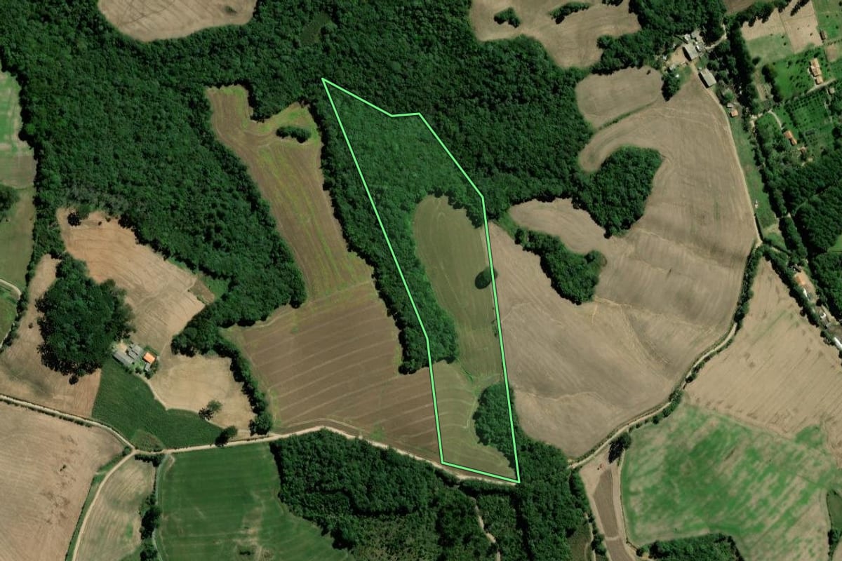 Imagem de satélite do imóvel rural em Palmeira (PR), com o contorno declarado no CAR desenhado por cima.