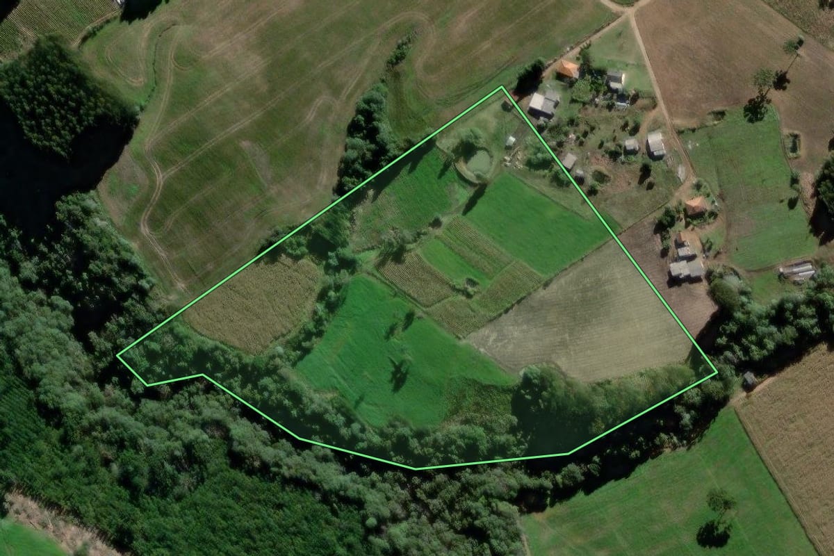 Imagem de satélite do imóvel rural em Palmeira (PR), com o contorno declarado no CAR desenhado por cima.