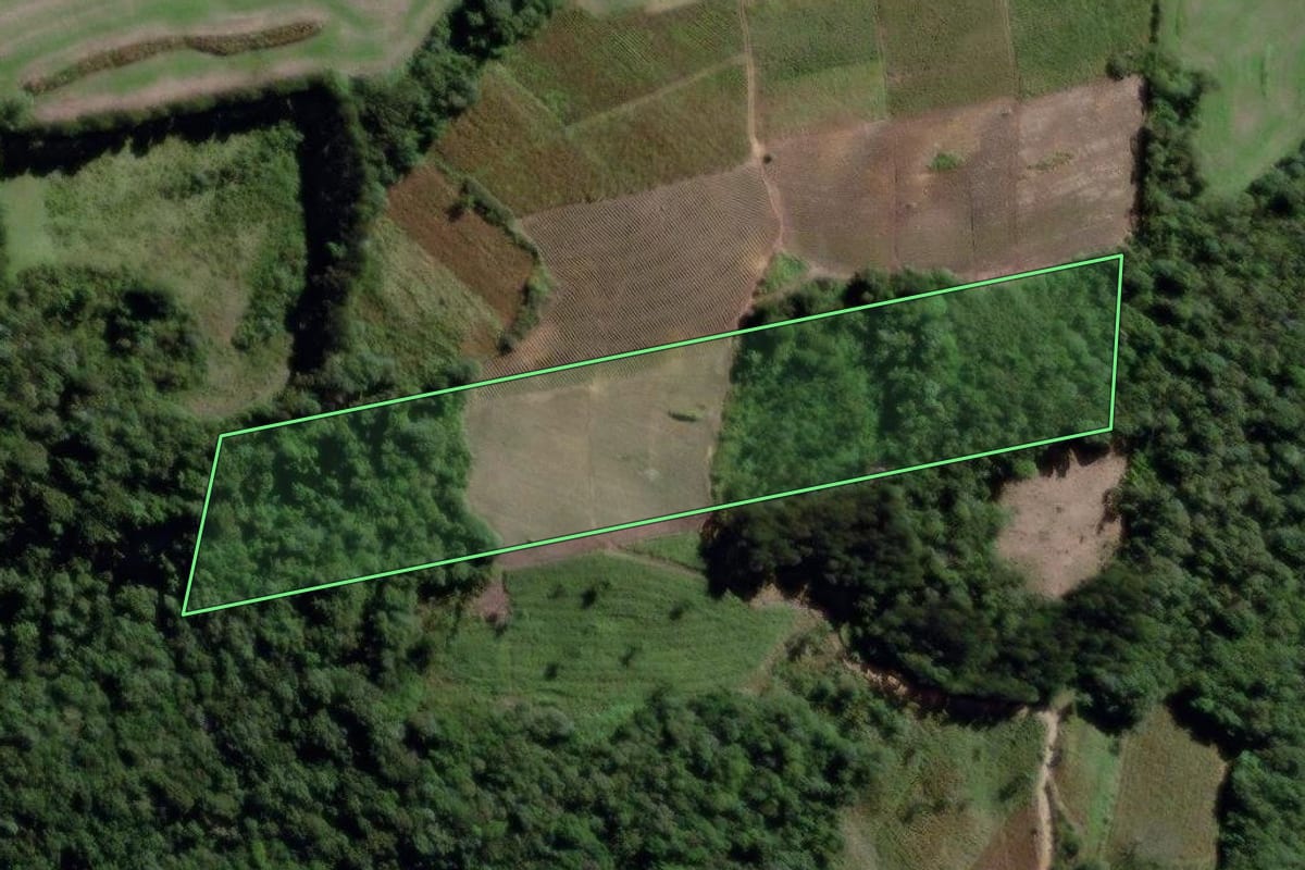 Imagem de satélite do imóvel rural em Palmeira (PR), com o contorno declarado no CAR desenhado por cima.