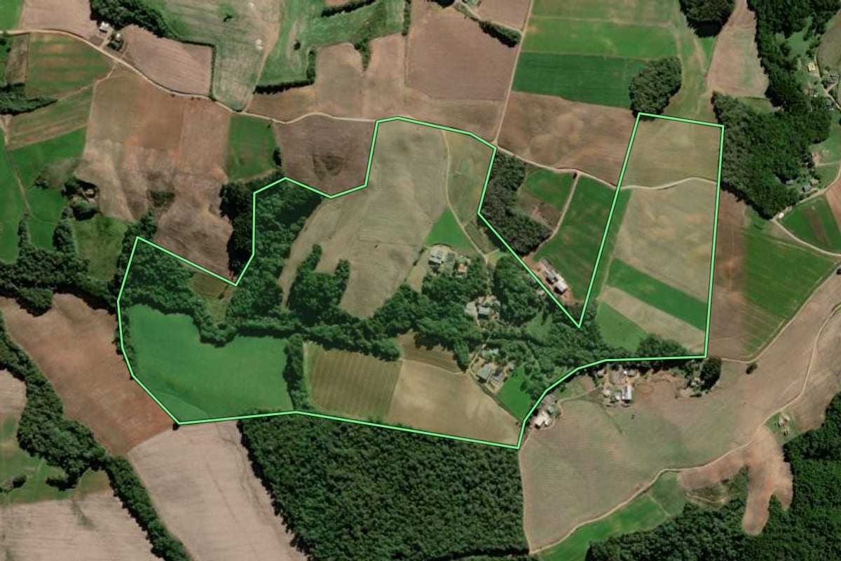 Imagem de satélite do imóvel rural em Palmeira (PR), com o contorno declarado no CAR desenhado por cima.