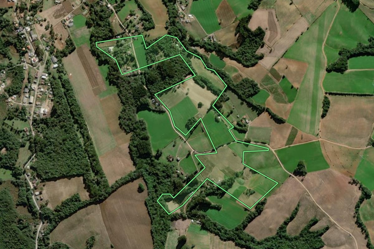 Imagem de satélite do imóvel rural em Palmeira (PR), com o contorno declarado no CAR desenhado por cima.