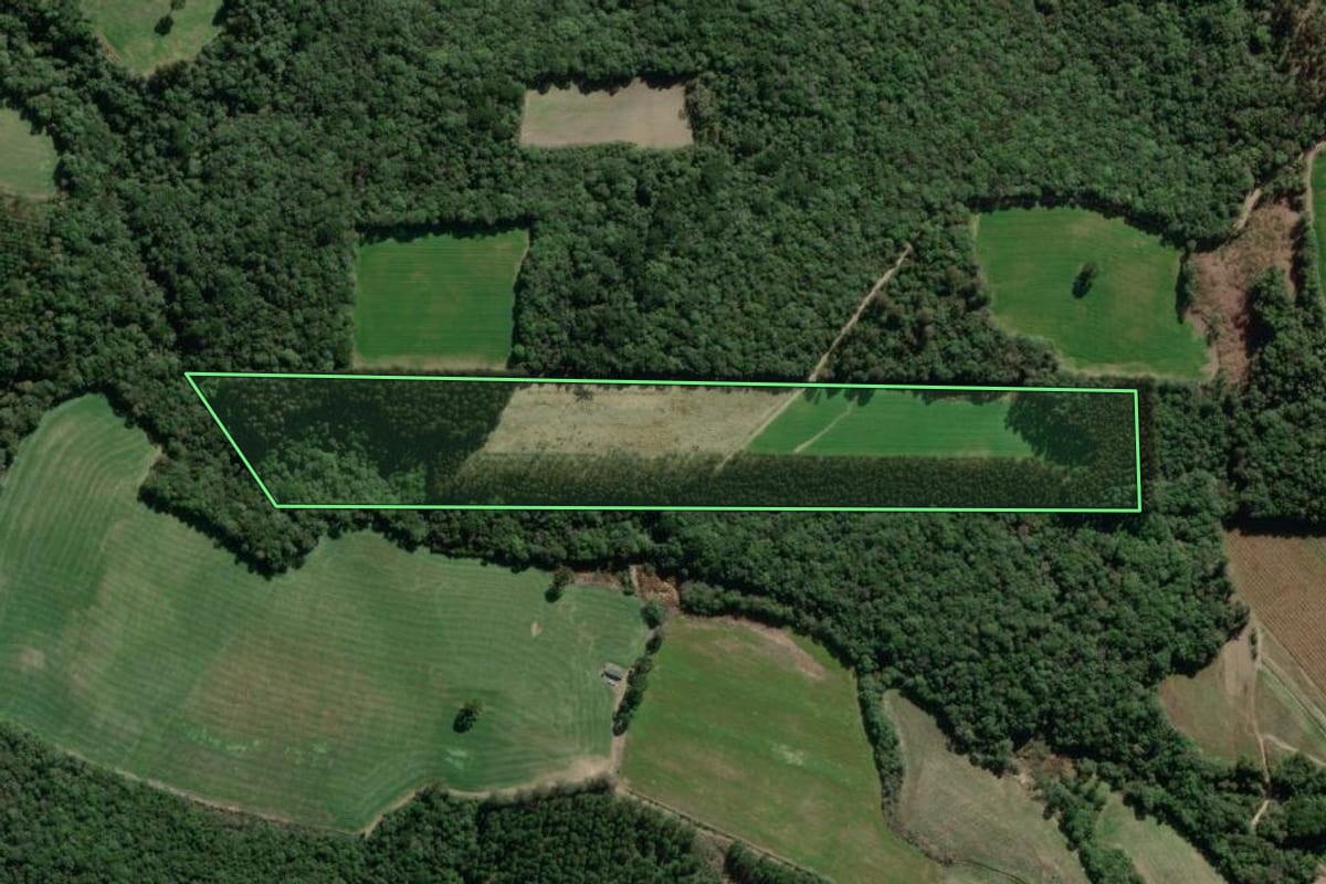 Imagem de satélite do imóvel rural em Palmeira (PR), com o contorno declarado no CAR desenhado por cima.