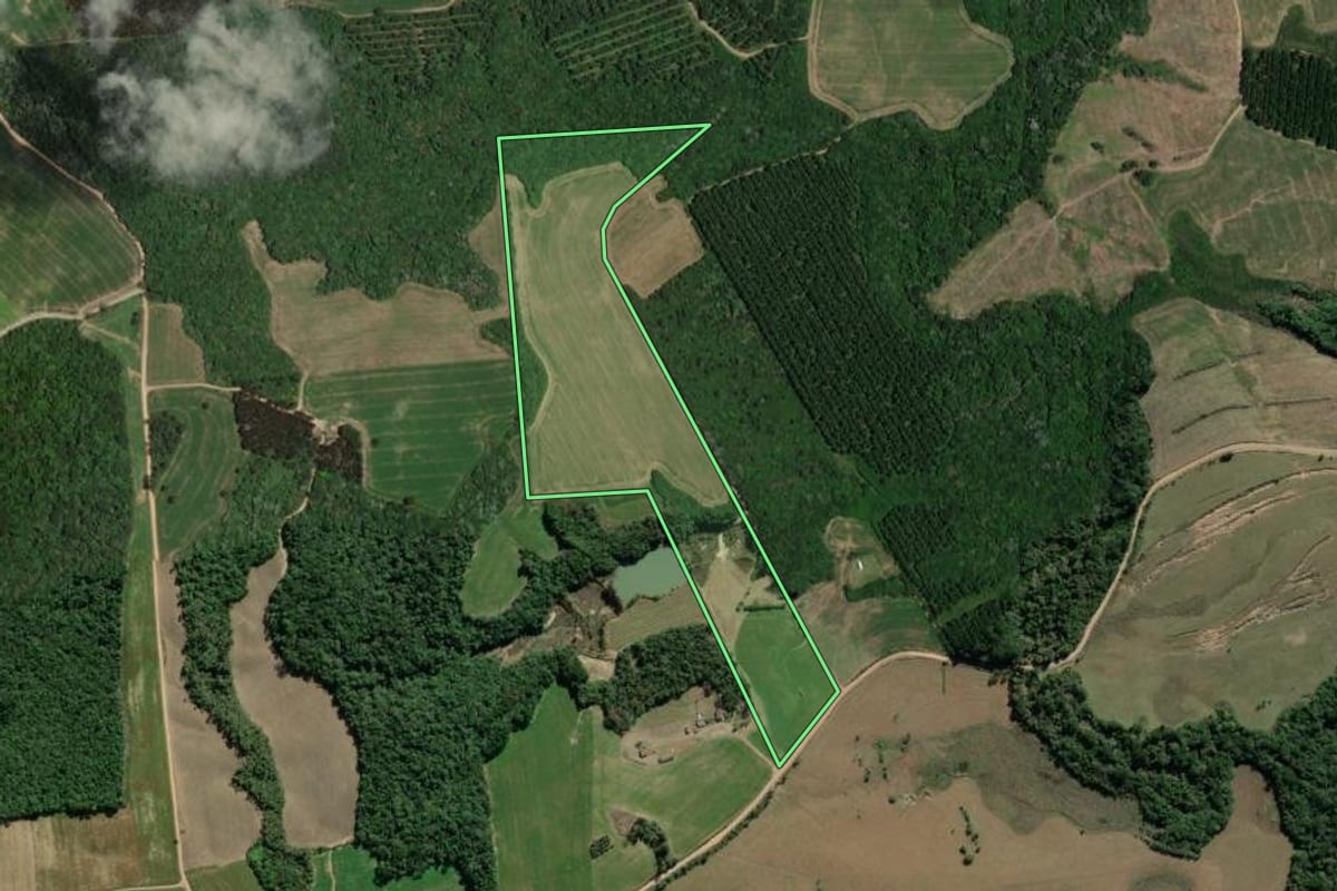 Imagem de satélite do imóvel rural em Palmeira (PR), com o contorno declarado no CAR desenhado por cima.