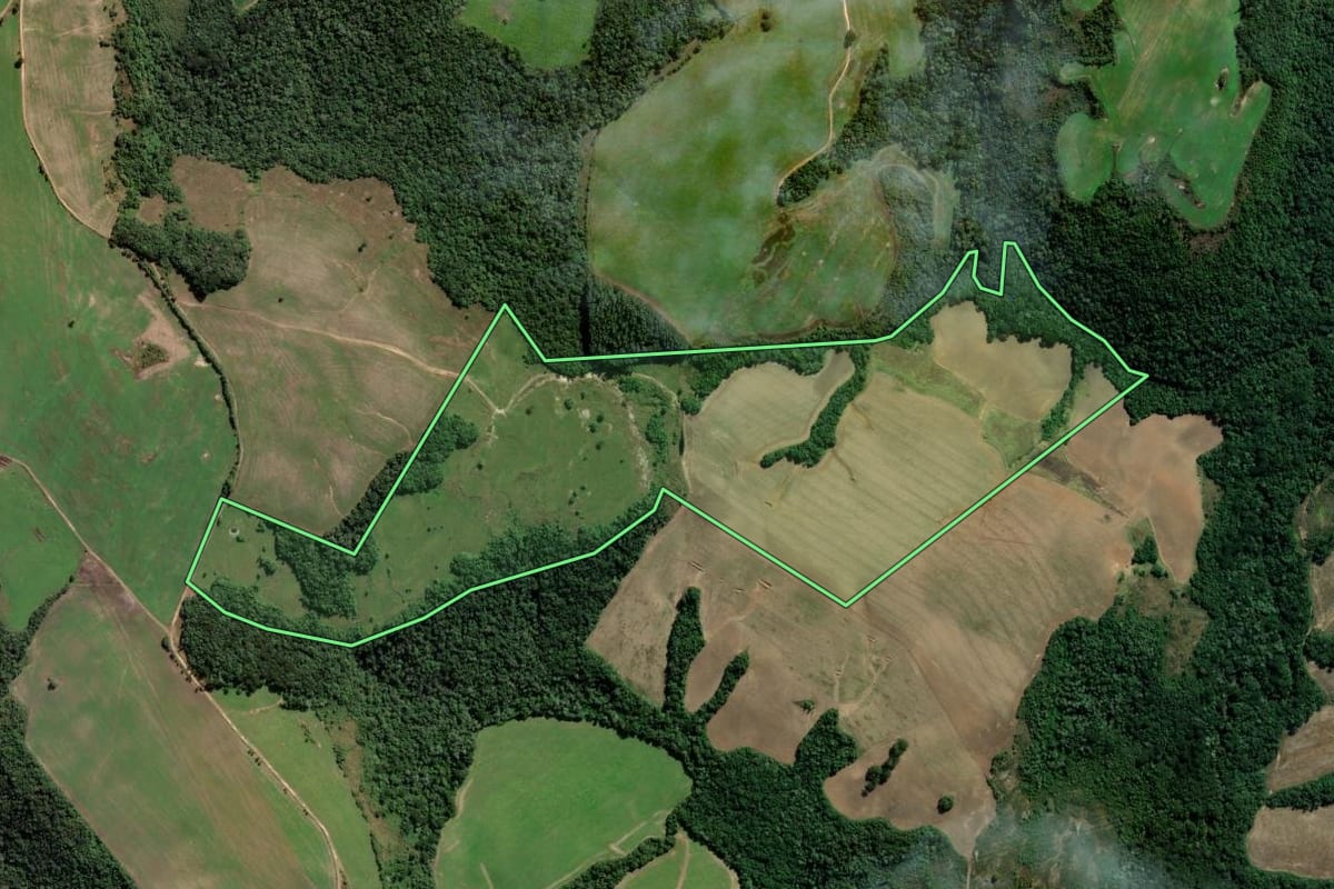 Imagem de satélite do imóvel rural em Palmeira (PR), com o contorno declarado no CAR desenhado por cima.