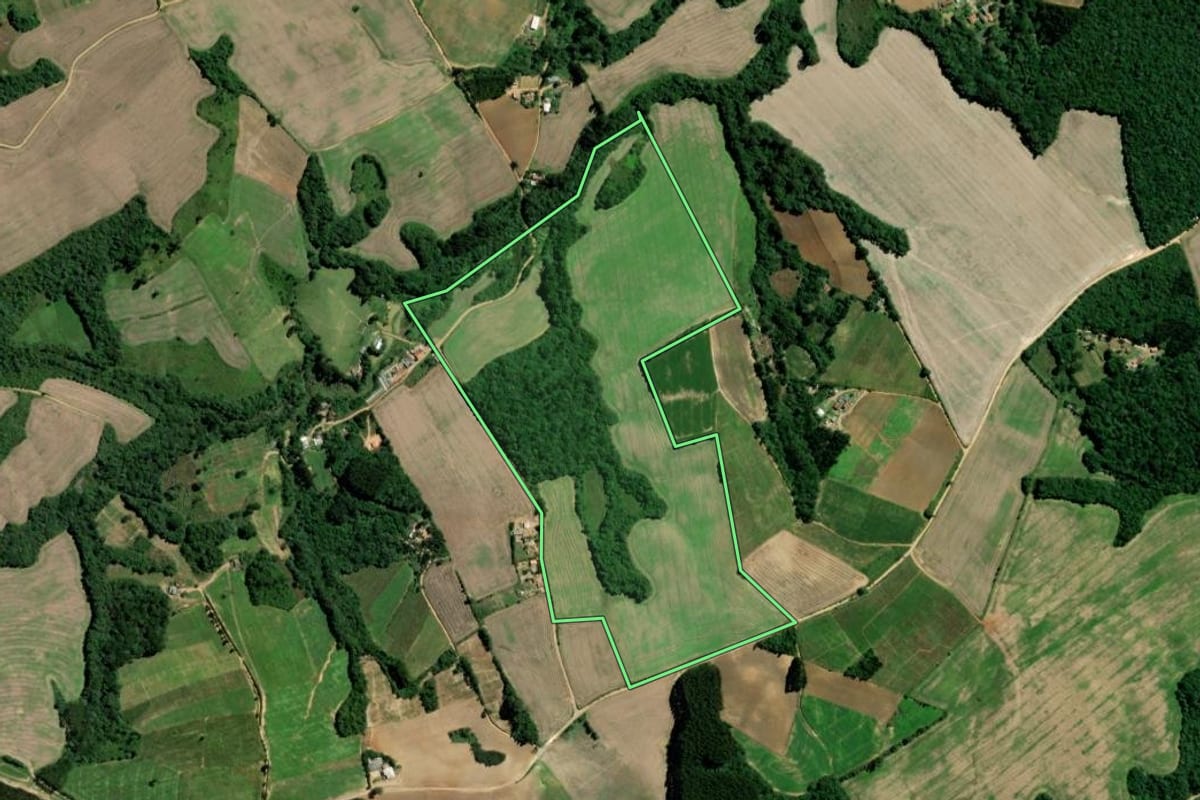 Imagem de satélite do imóvel rural em Palmeira (PR), com o contorno declarado no CAR desenhado por cima.