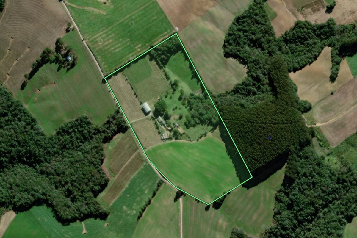 Imagem de satélite do imóvel rural em Palmeira (PR), com o contorno declarado no CAR desenhado por cima.