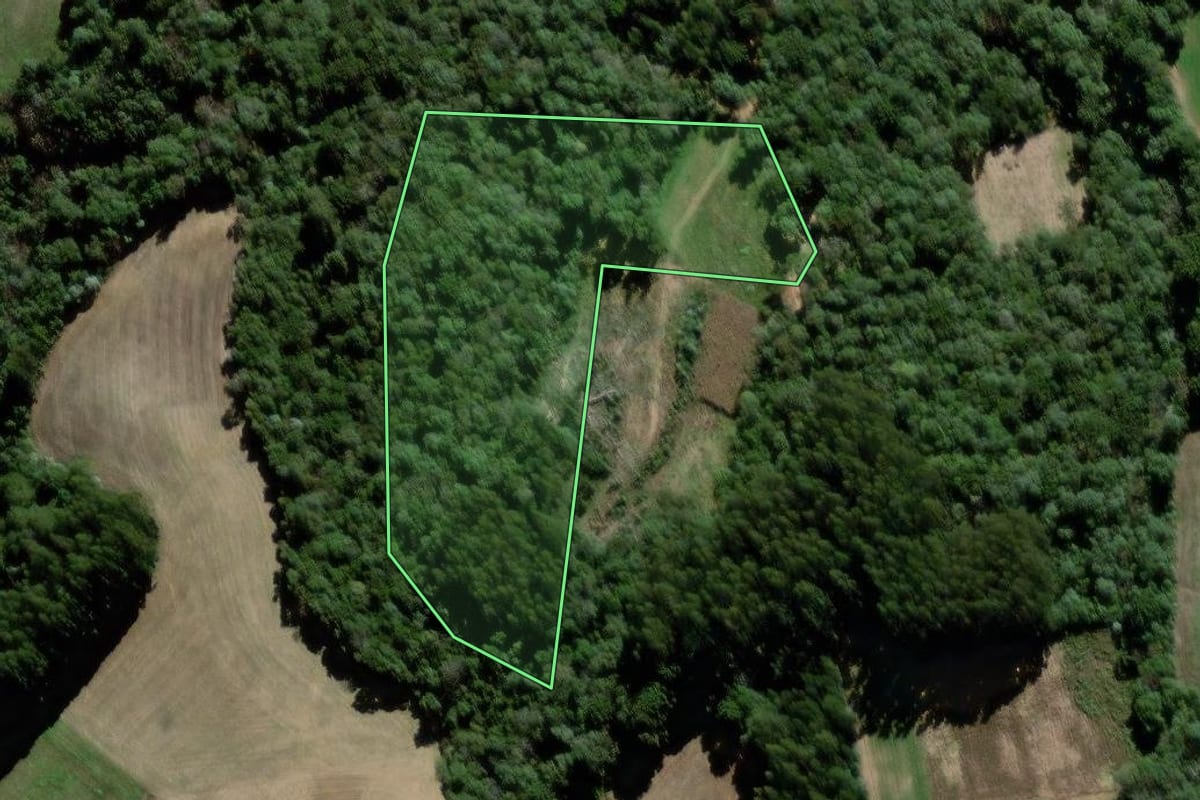 Imagem de satélite do imóvel rural em Palmeira (PR), com o contorno declarado no CAR desenhado por cima.