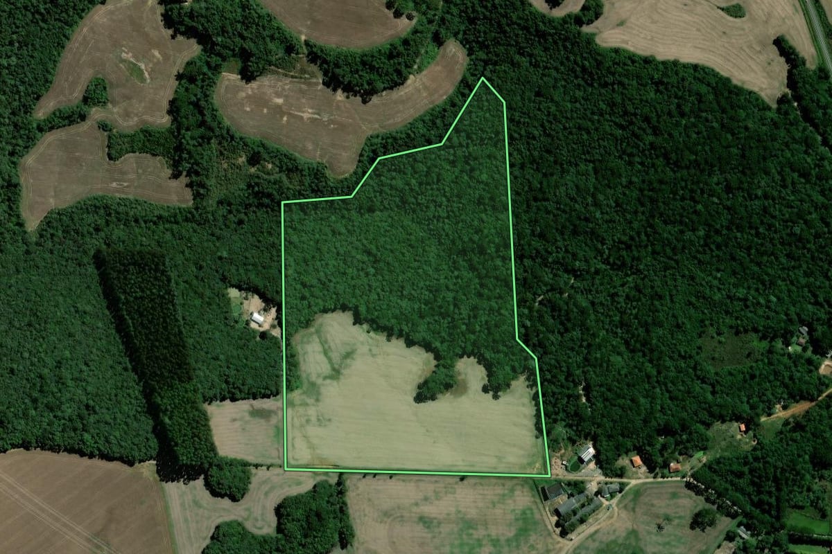 Imagem de satélite do imóvel rural em Palmeira (PR), com o contorno declarado no CAR desenhado por cima.