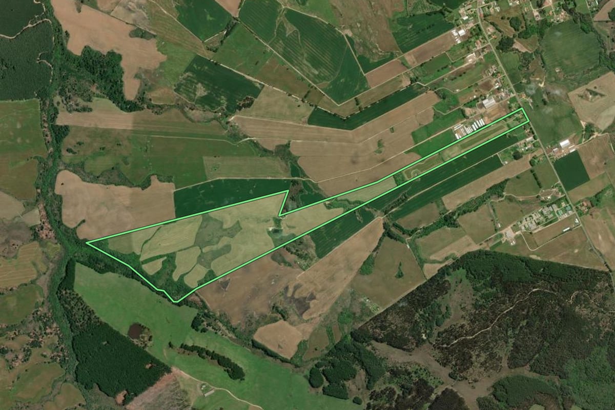 Imagem de satélite do imóvel rural em Palmeira (PR), com o contorno declarado no CAR desenhado por cima.
