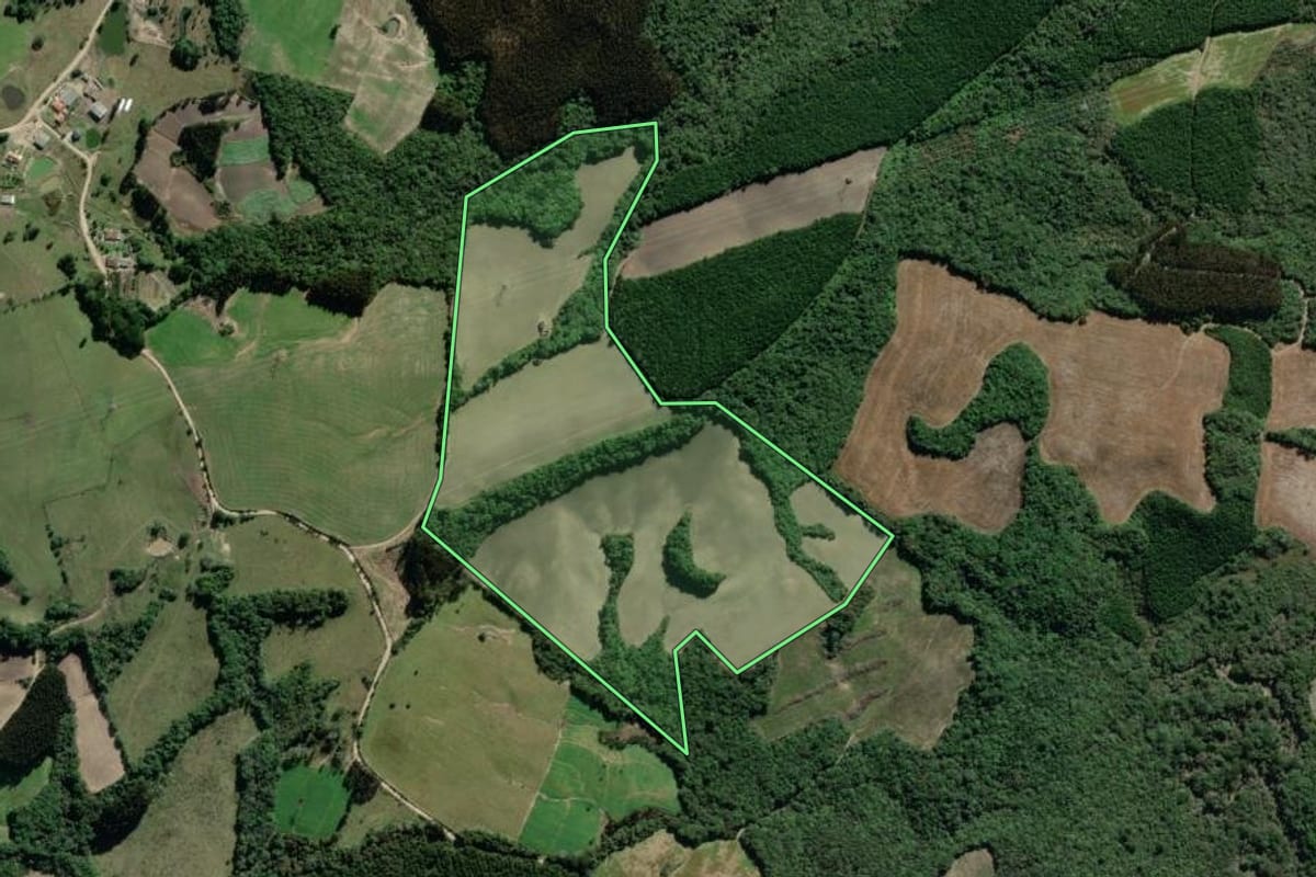 Imagem de satélite do imóvel rural em Palmeira (PR), com o contorno declarado no CAR desenhado por cima.