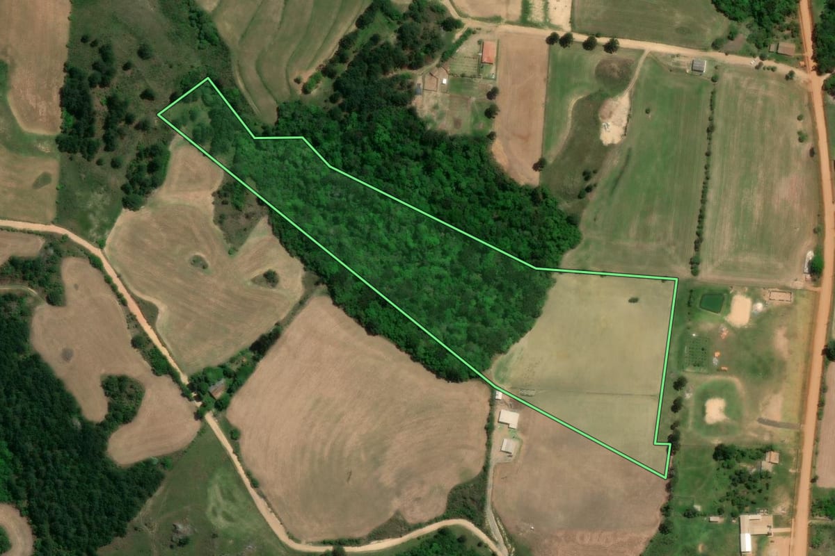 Imagem de satélite do imóvel rural em Palmeira (PR), com o contorno declarado no CAR desenhado por cima.