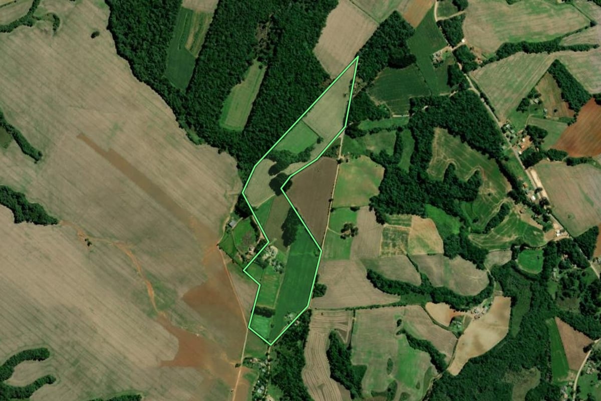 Imagem de satélite do imóvel rural em Palmeira (PR), com o contorno declarado no CAR desenhado por cima.