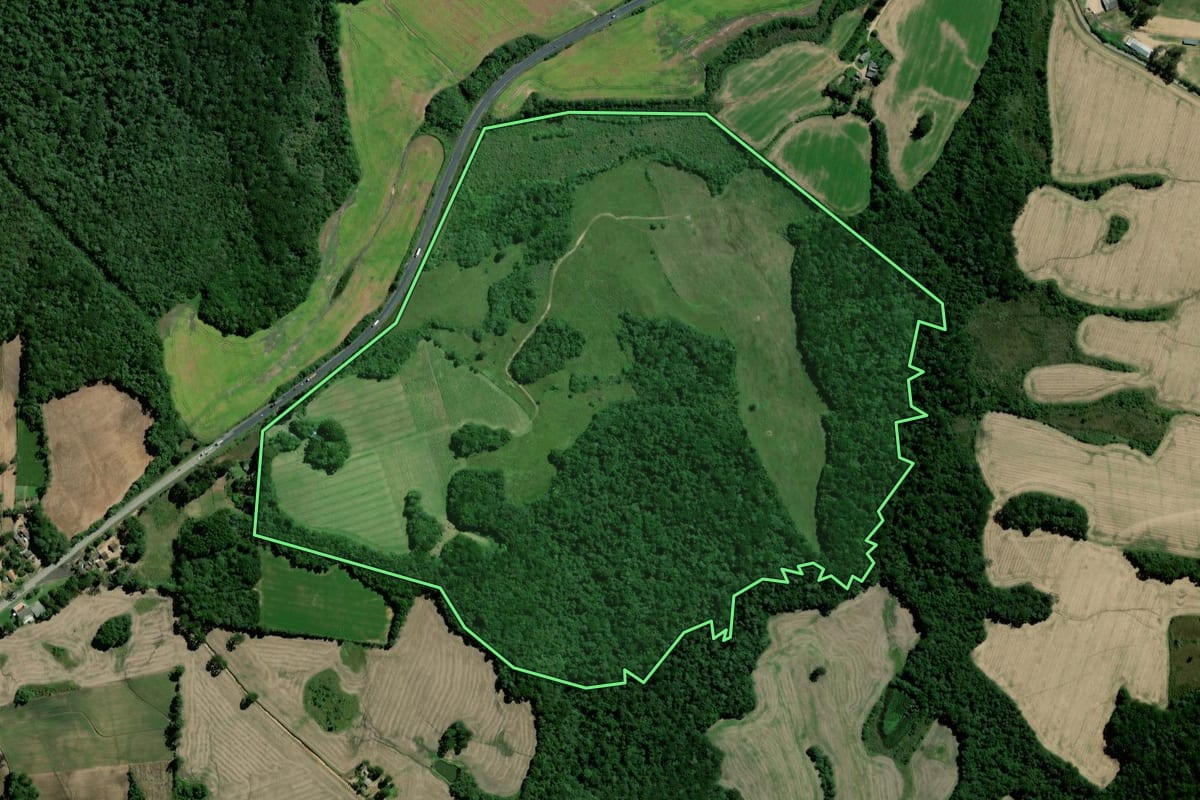 Imagem de satélite do imóvel rural em Palmeira (PR), com o contorno declarado no CAR desenhado por cima.