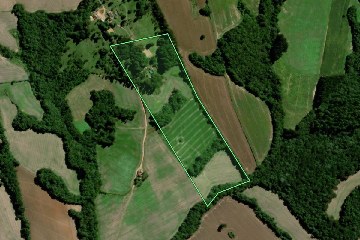 Imagem de satélite do imóvel rural em Palmeira (PR), com o contorno declarado no CAR desenhado por cima.