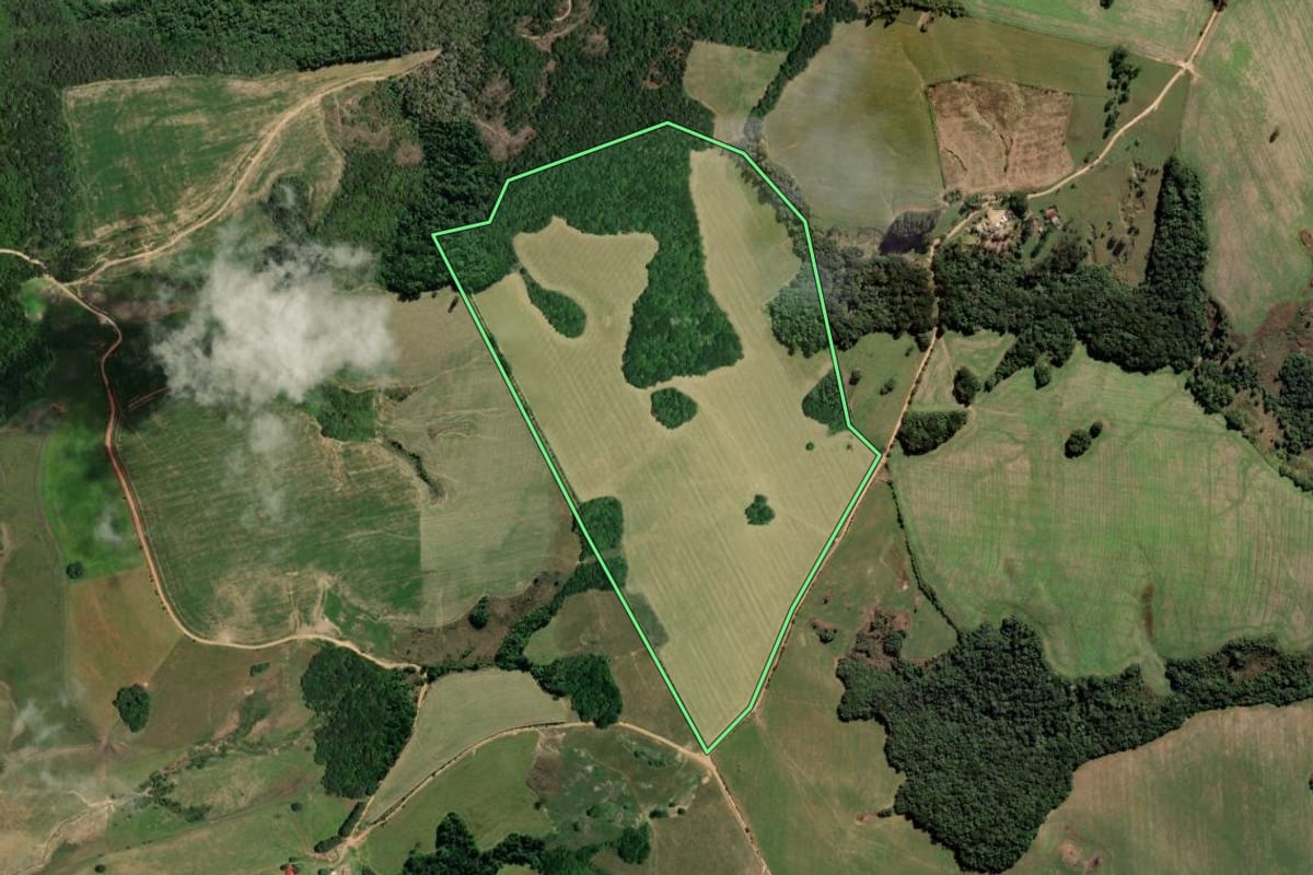 Imagem de satélite do imóvel rural em Palmeira (PR), com o contorno declarado no CAR desenhado por cima.