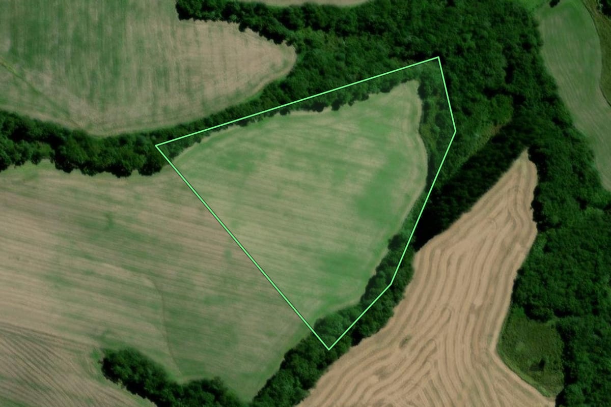 Imagem de satélite do imóvel rural em Palmeira (PR), com o contorno declarado no CAR desenhado por cima.
