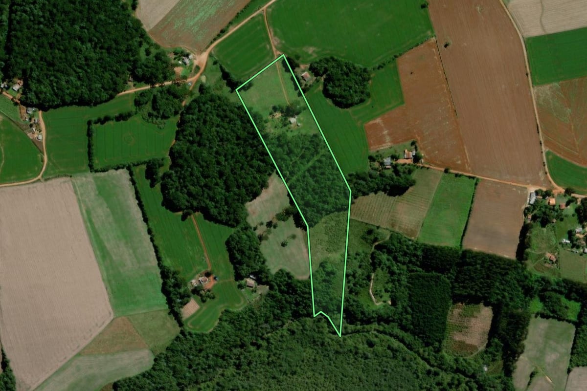 Imagem de satélite do imóvel rural em Palmeira (PR), com o contorno declarado no CAR desenhado por cima.