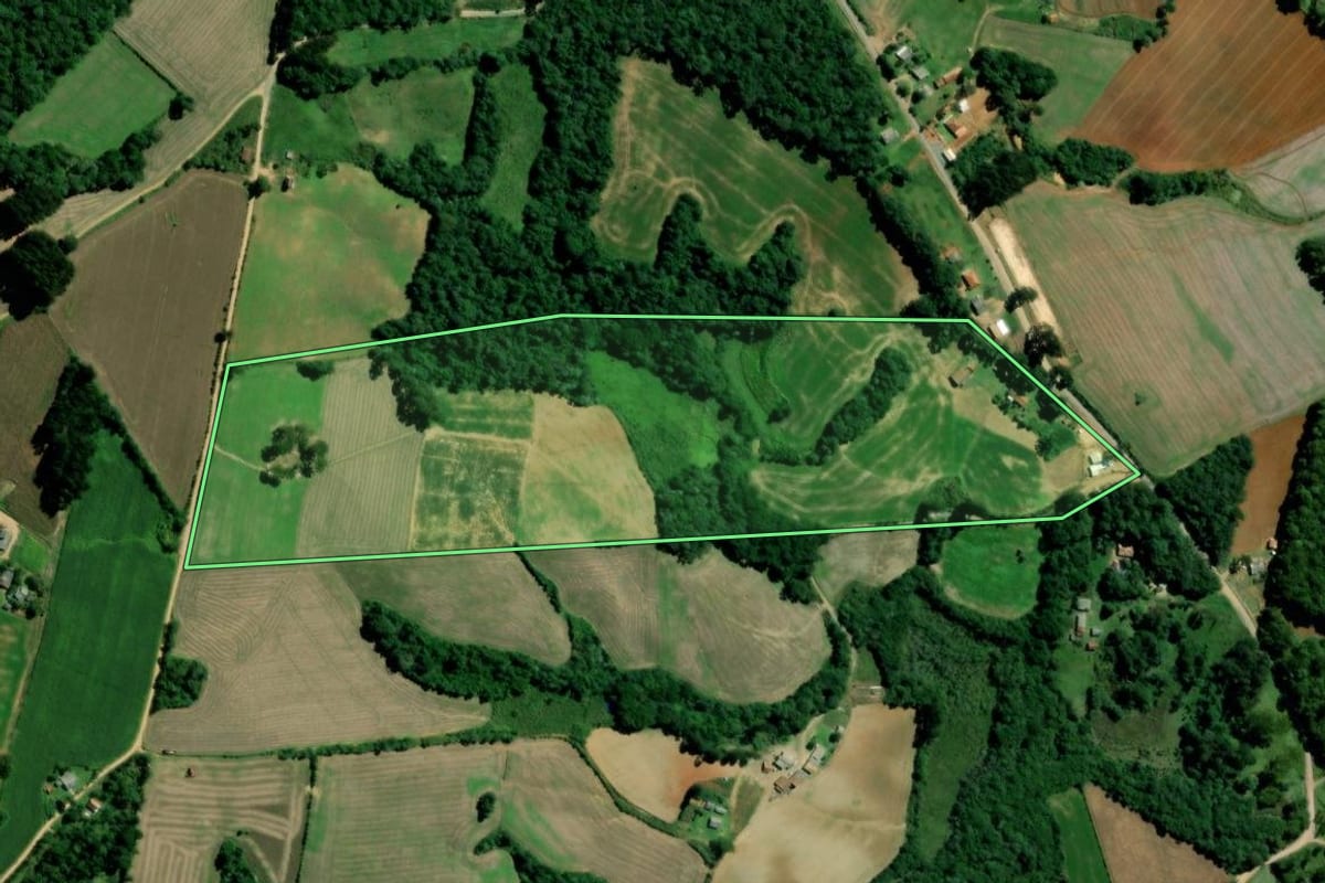 Imagem de satélite do imóvel rural em Palmeira (PR), com o contorno declarado no CAR desenhado por cima.