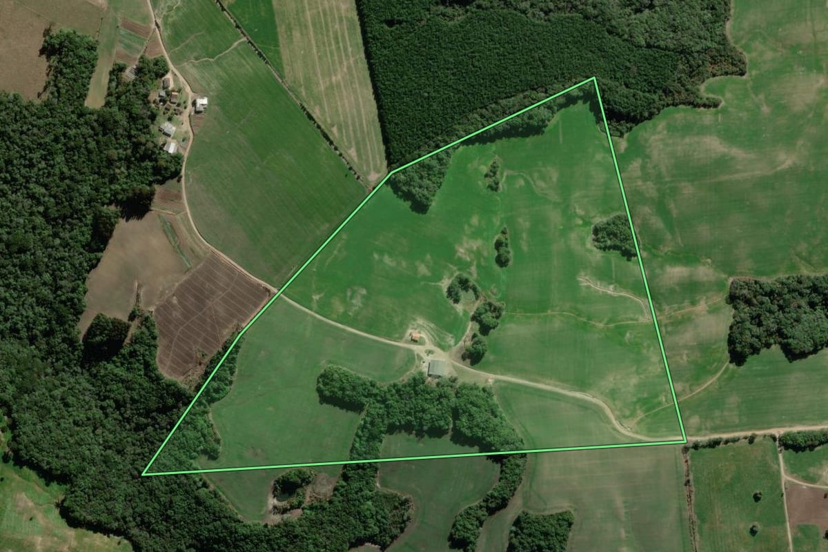 Imagem de satélite do imóvel rural em Palmeira (PR), com o contorno declarado no CAR desenhado por cima.