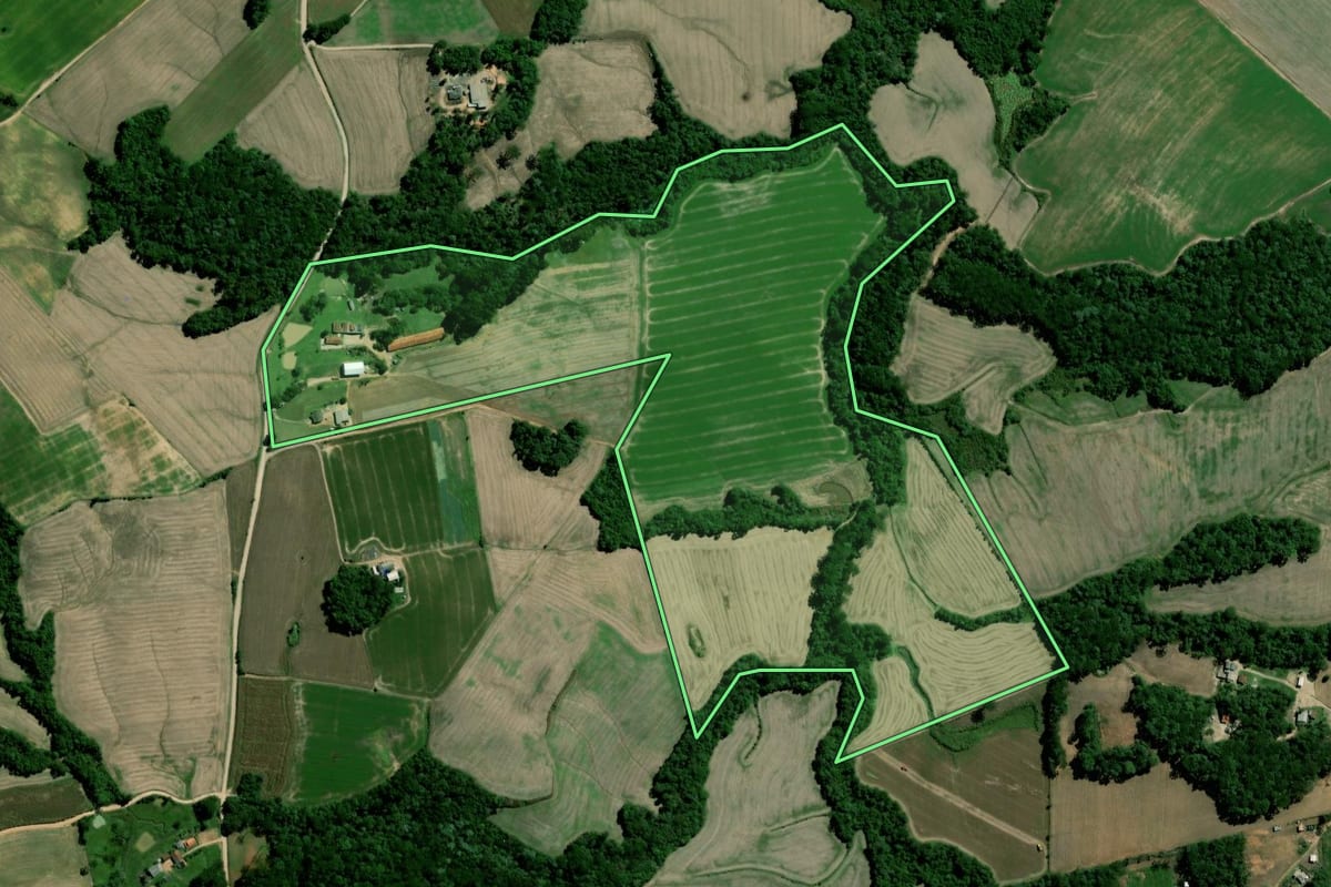 Imagem de satélite do imóvel rural em Palmeira (PR), com o contorno declarado no CAR desenhado por cima.