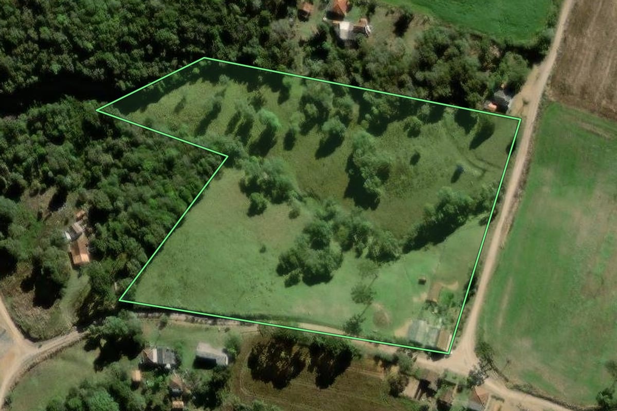 Imagem de satélite do imóvel rural em Palmeira (PR), com o contorno declarado no CAR desenhado por cima.