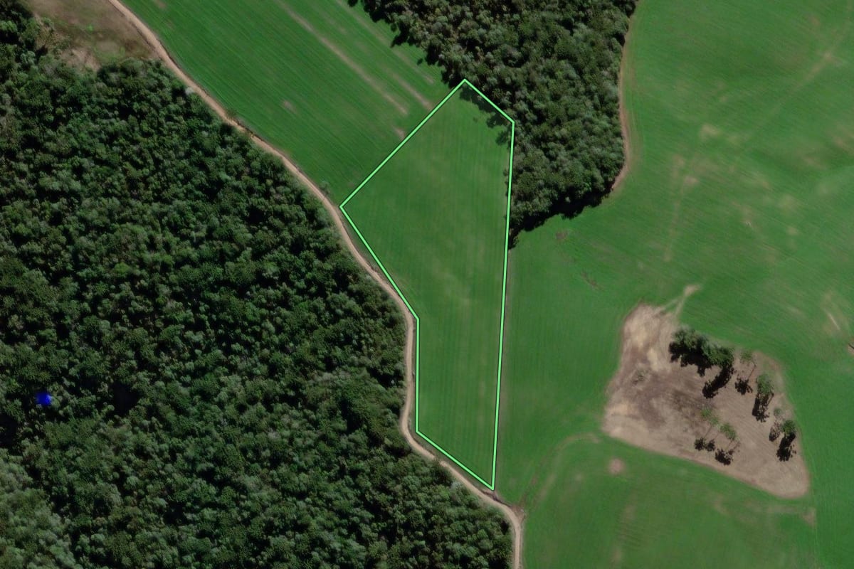Imagem de satélite do imóvel rural em Palmeira (PR), com o contorno declarado no CAR desenhado por cima.