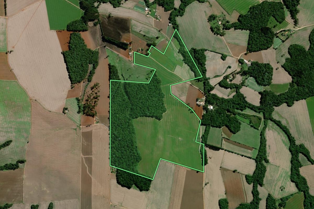 Imagem de satélite do imóvel rural em Palmeira (PR), com o contorno declarado no CAR desenhado por cima.