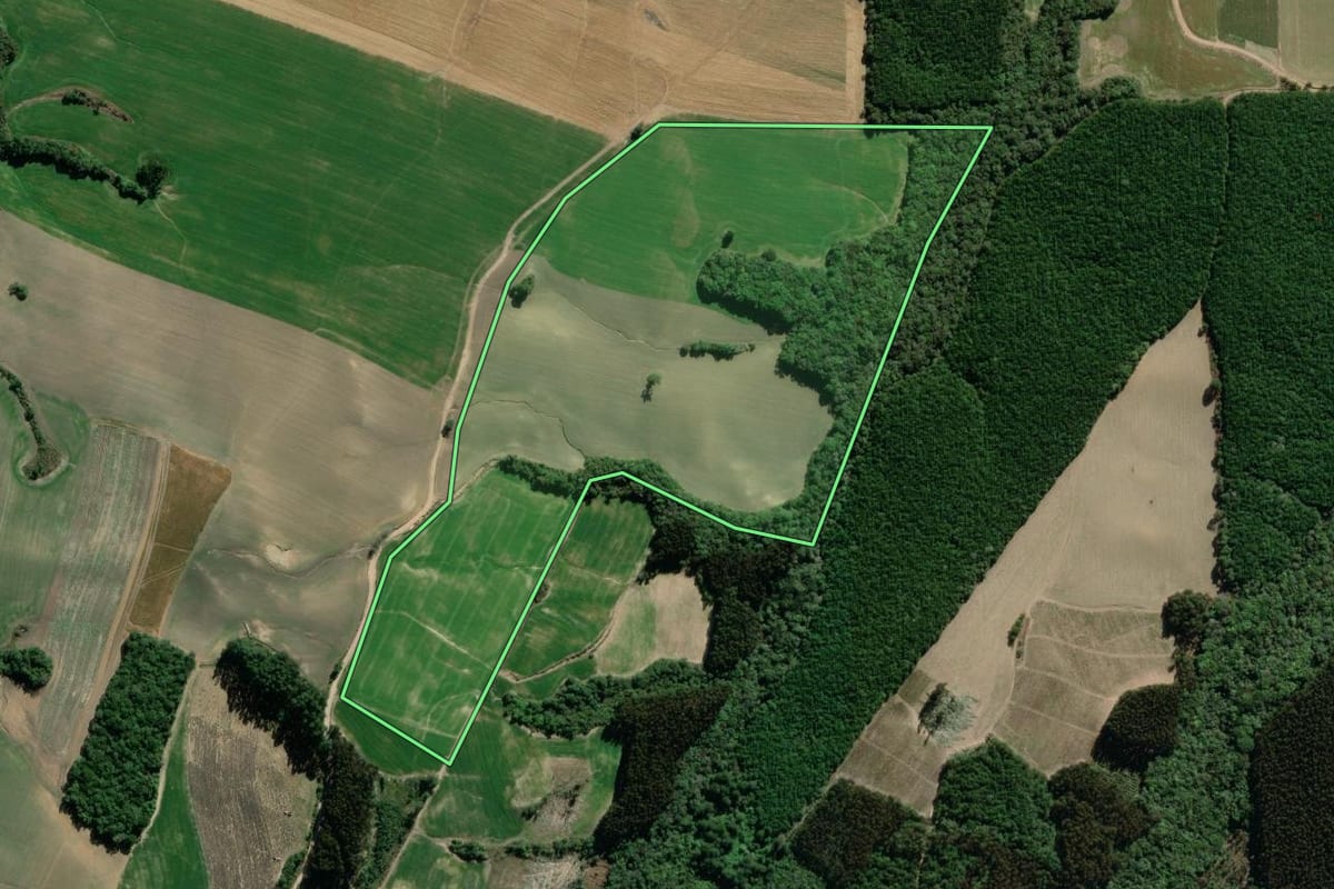 Imagem de satélite do imóvel rural em Palmeira (PR), com o contorno declarado no CAR desenhado por cima.