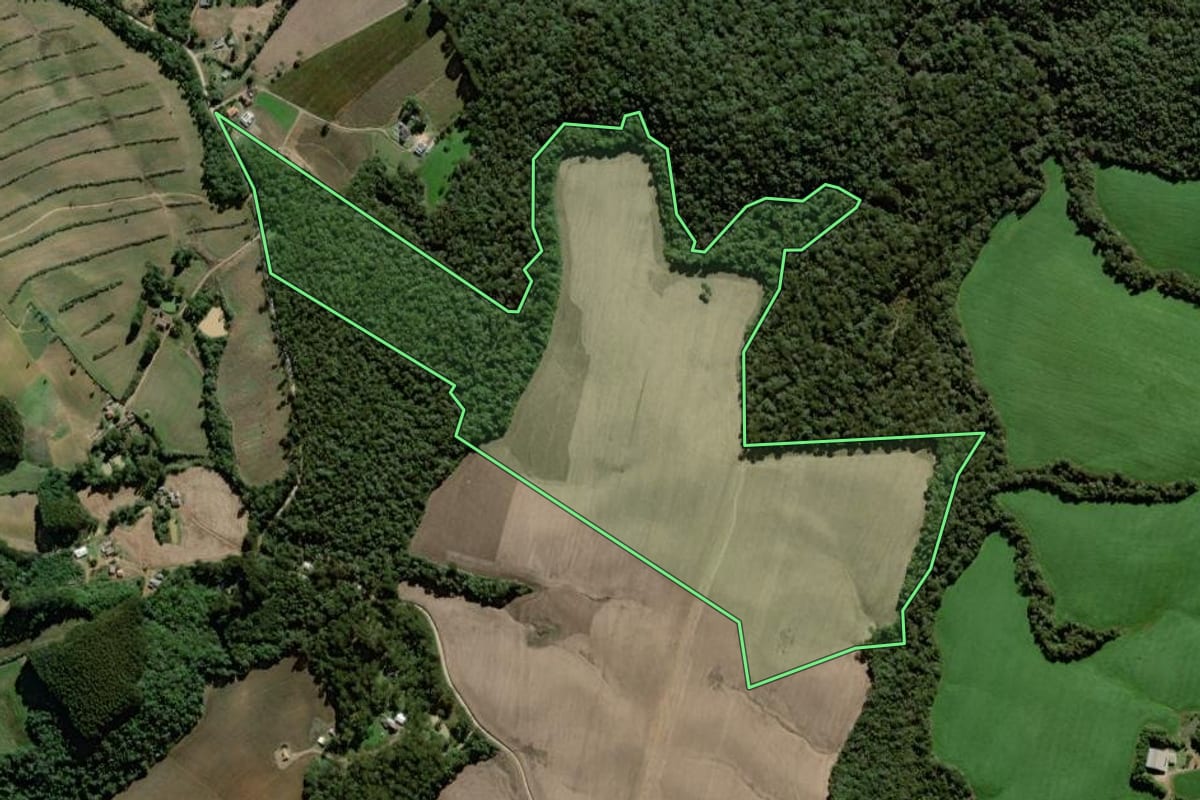Imagem de satélite do imóvel rural em Palmeira (PR), com o contorno declarado no CAR desenhado por cima.