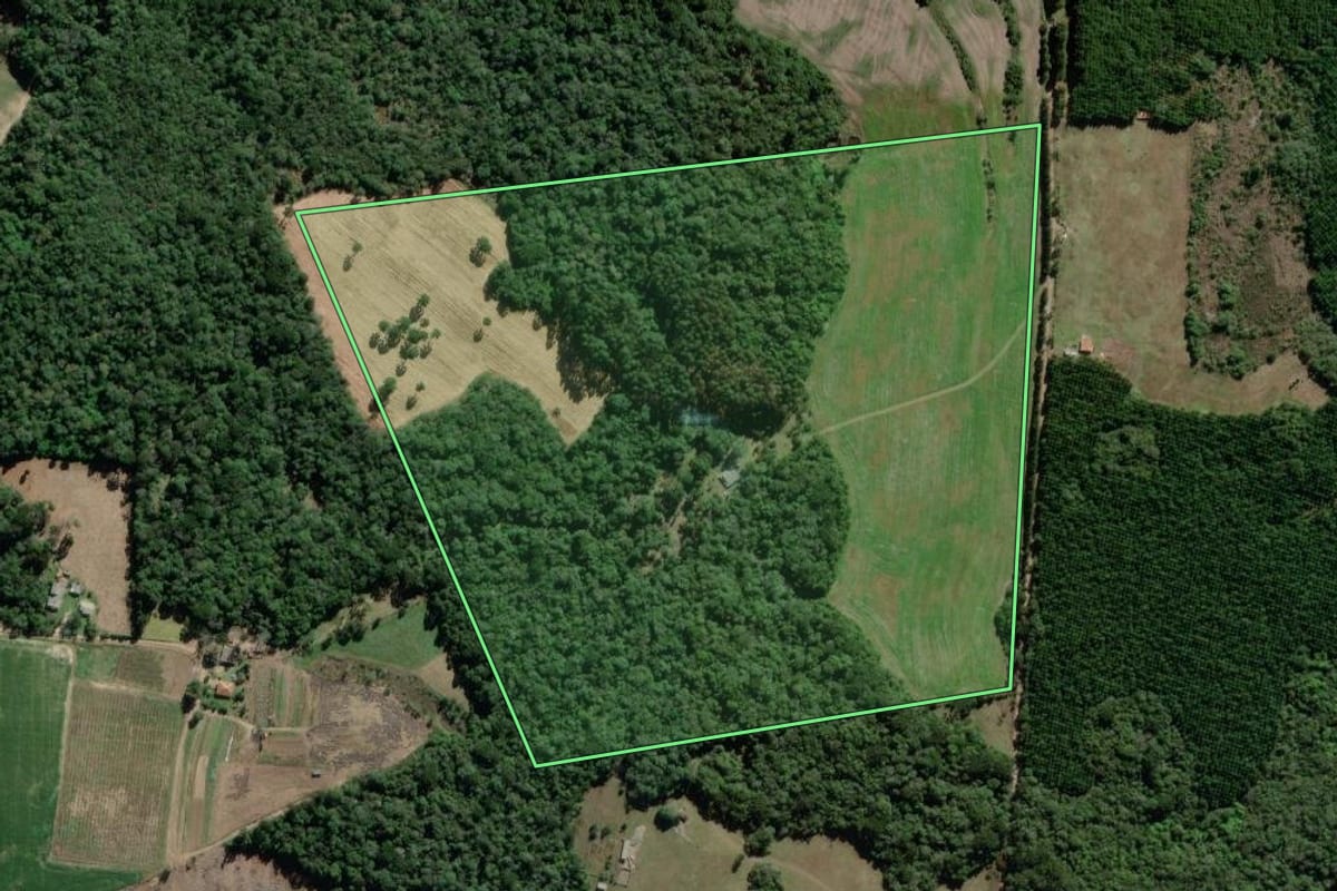 Imagem de satélite do imóvel rural em Palmeira (PR), com o contorno declarado no CAR desenhado por cima.