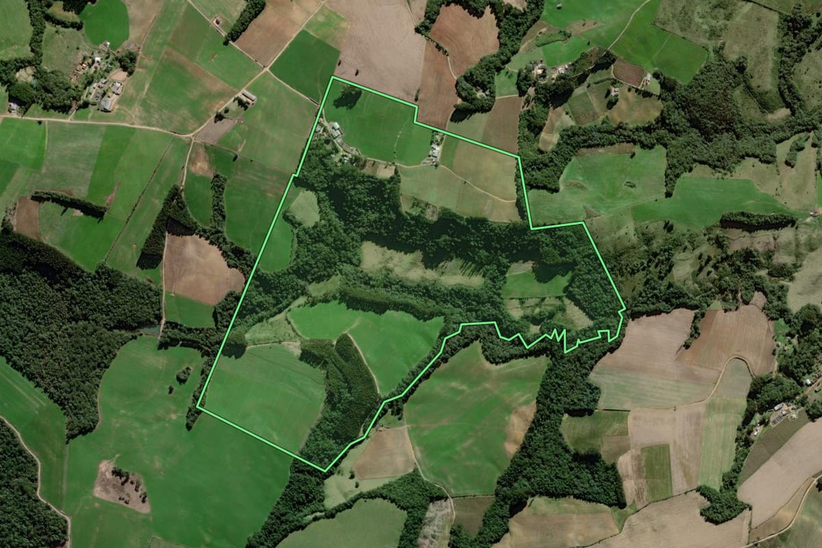Imagem de satélite do imóvel rural em Palmeira (PR), com o contorno declarado no CAR desenhado por cima.