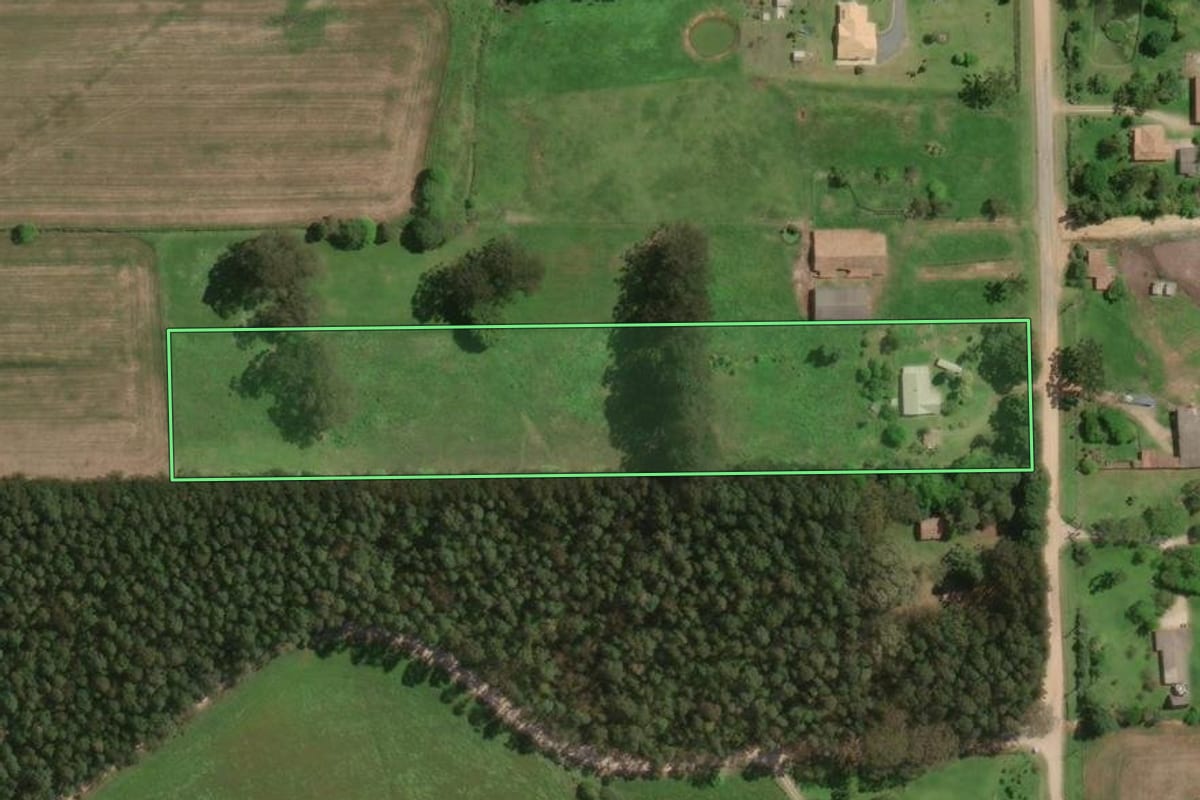 Imagem de satélite do imóvel rural em Palmeira (PR), com o contorno declarado no CAR desenhado por cima.