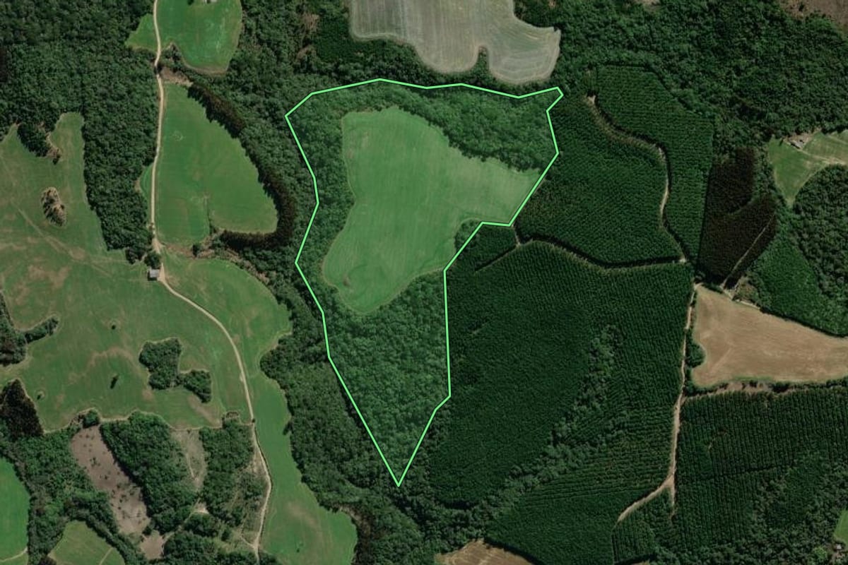 Imagem de satélite do imóvel rural em Palmeira (PR), com o contorno declarado no CAR desenhado por cima.