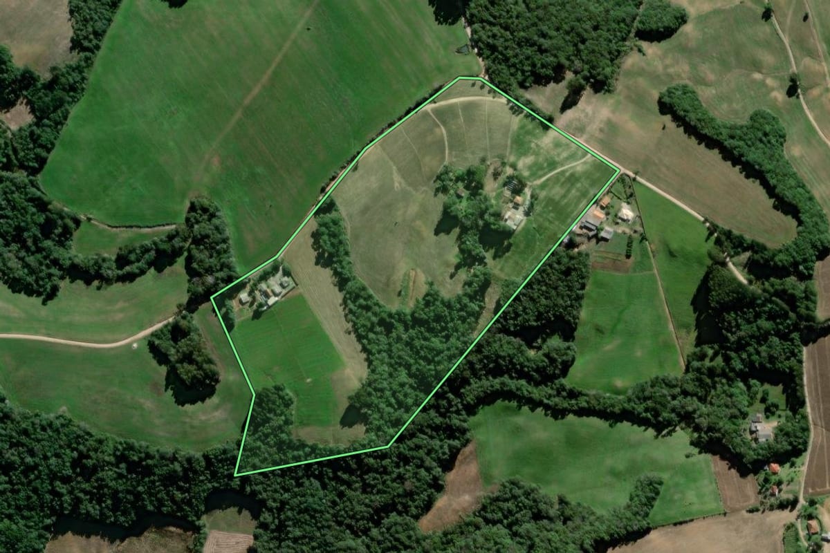 Imagem de satélite do imóvel rural em Palmeira (PR), com o contorno declarado no CAR desenhado por cima.