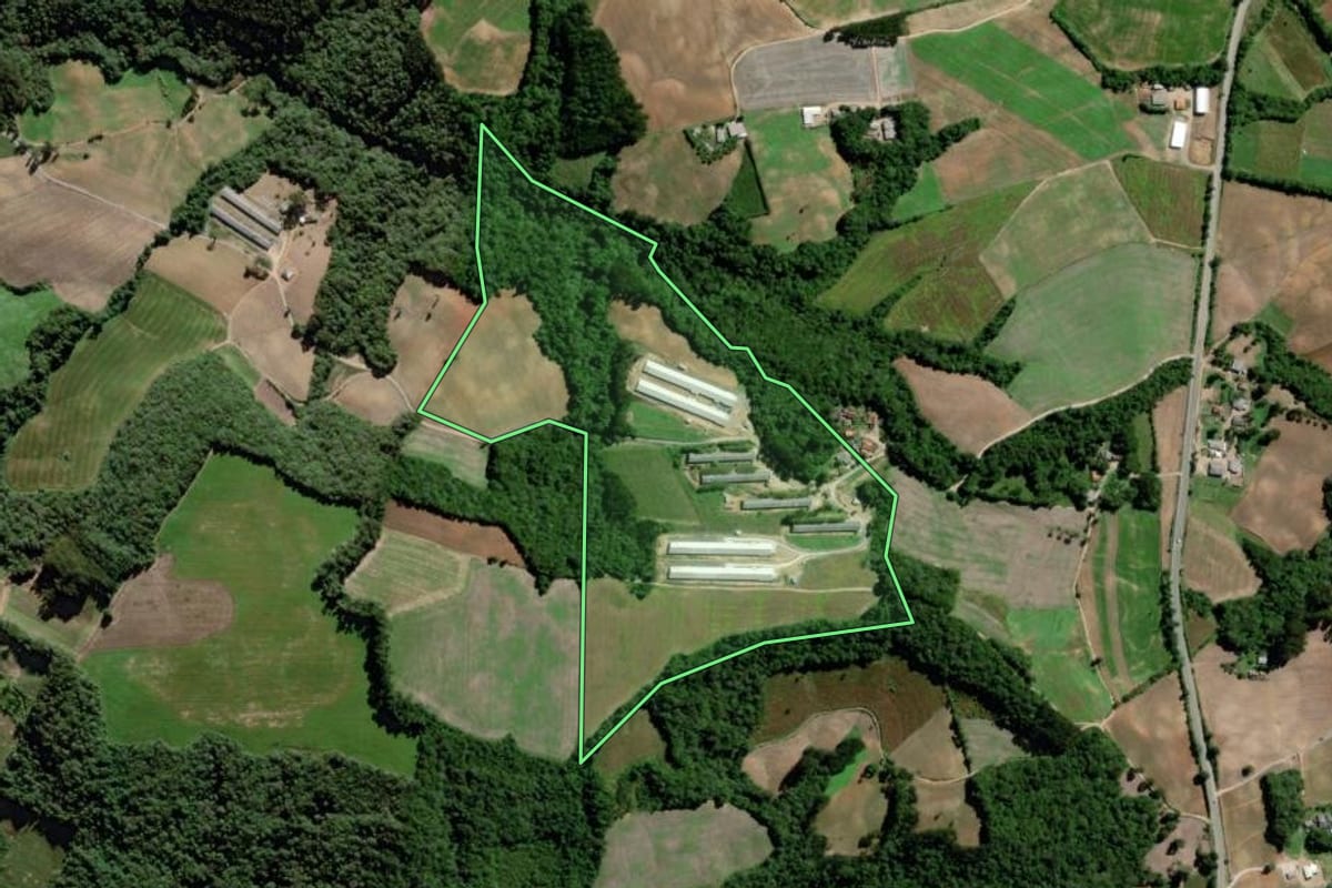 Imagem de satélite do imóvel rural em Palmeira (PR), com o contorno declarado no CAR desenhado por cima.