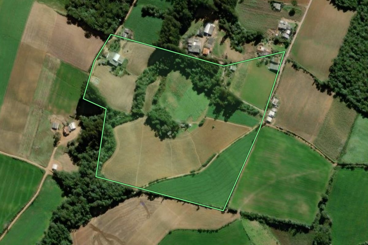 Imagem de satélite do imóvel rural em Palmeira (PR), com o contorno declarado no CAR desenhado por cima.