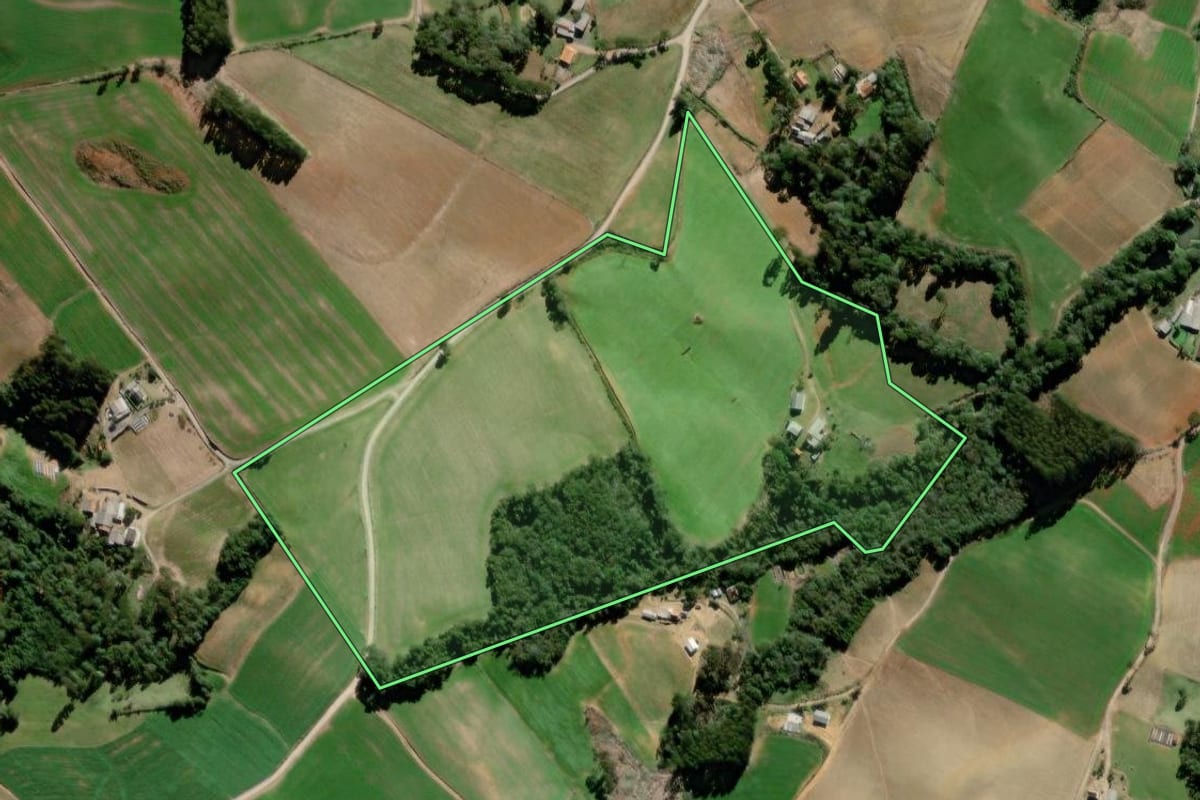 Imagem de satélite do imóvel rural em Palmeira (PR), com o contorno declarado no CAR desenhado por cima.