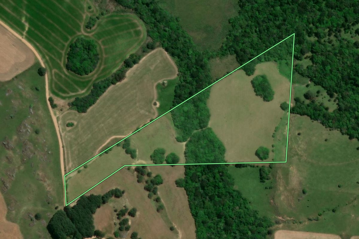 Imagem de satélite do imóvel rural em Palmeira (PR), com o contorno declarado no CAR desenhado por cima.