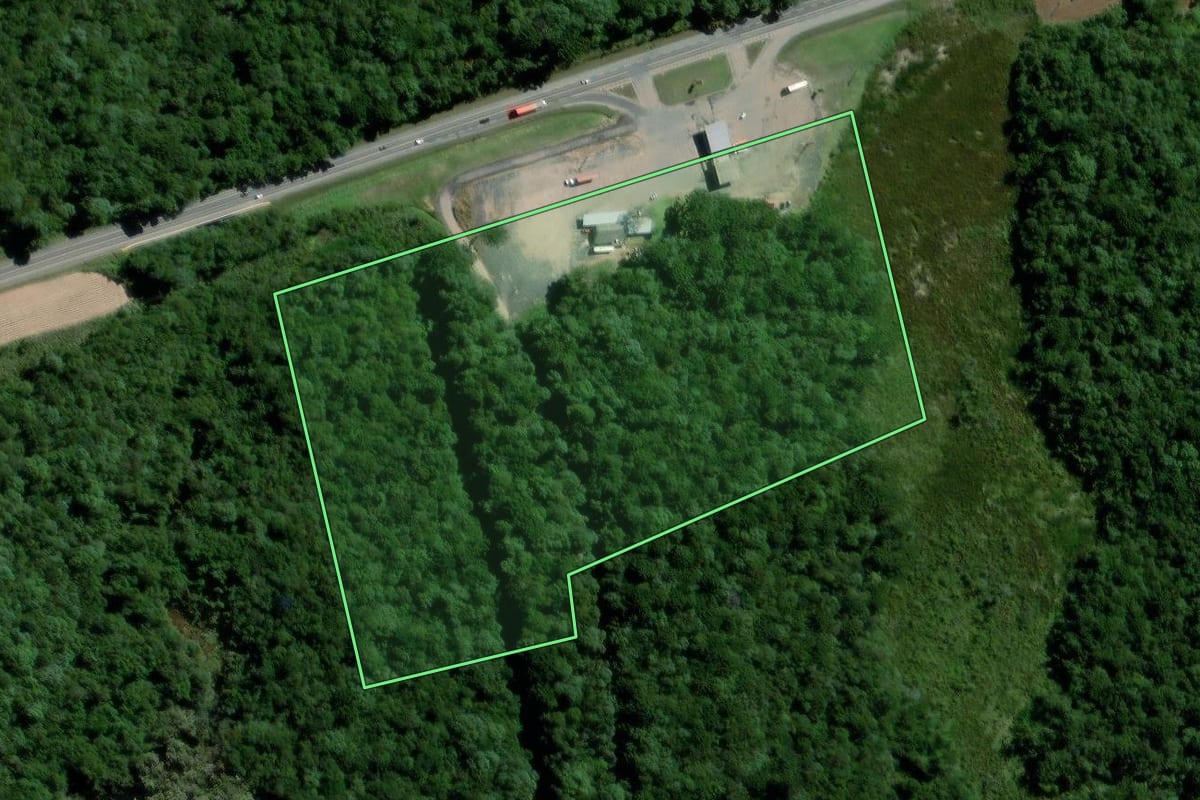 Imagem de satélite do imóvel rural em Palmeira (PR), com o contorno declarado no CAR desenhado por cima.