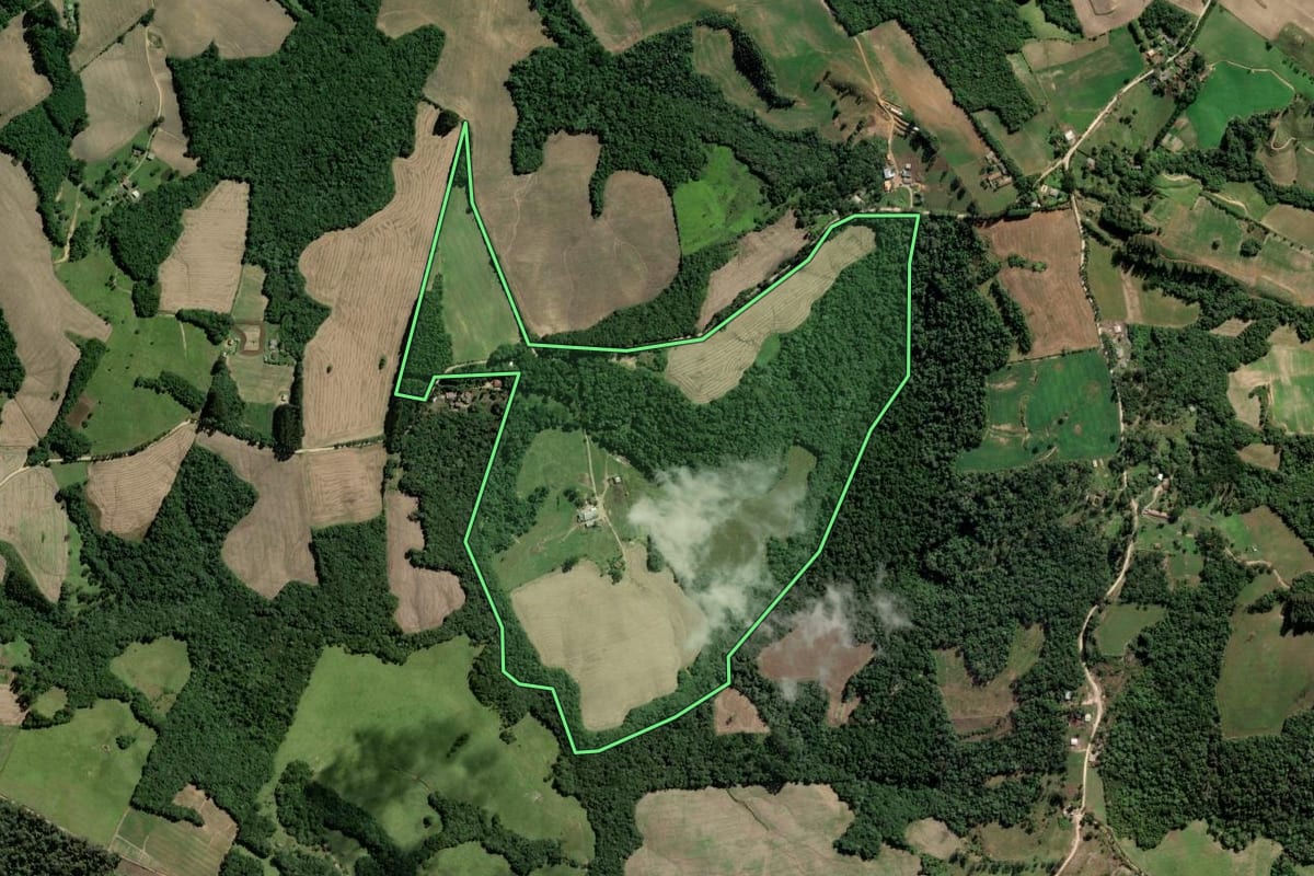 Imagem de satélite do imóvel rural em Palmeira (PR), com o contorno declarado no CAR desenhado por cima.