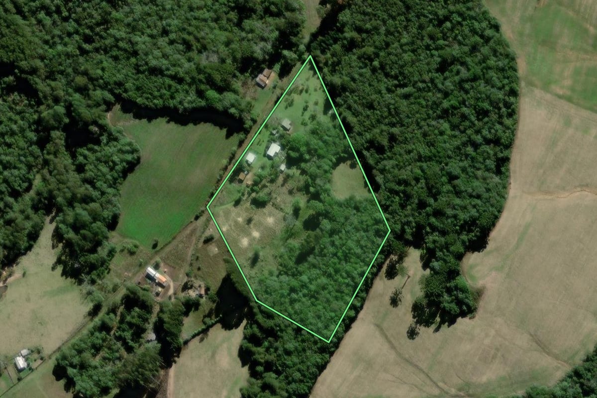 Imagem de satélite do imóvel rural em Palmeira (PR), com o contorno declarado no CAR desenhado por cima.