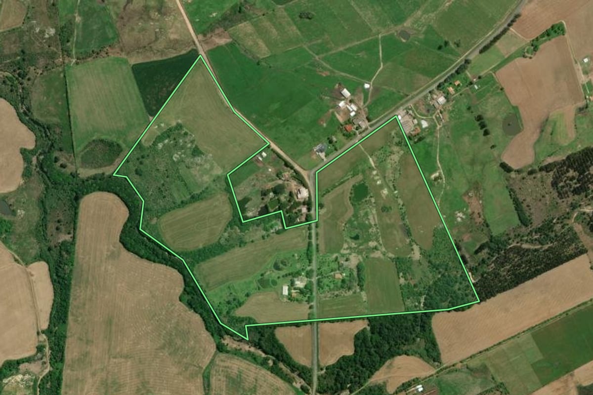 Imagem de satélite do imóvel rural em Palmeira (PR), com o contorno declarado no CAR desenhado por cima.