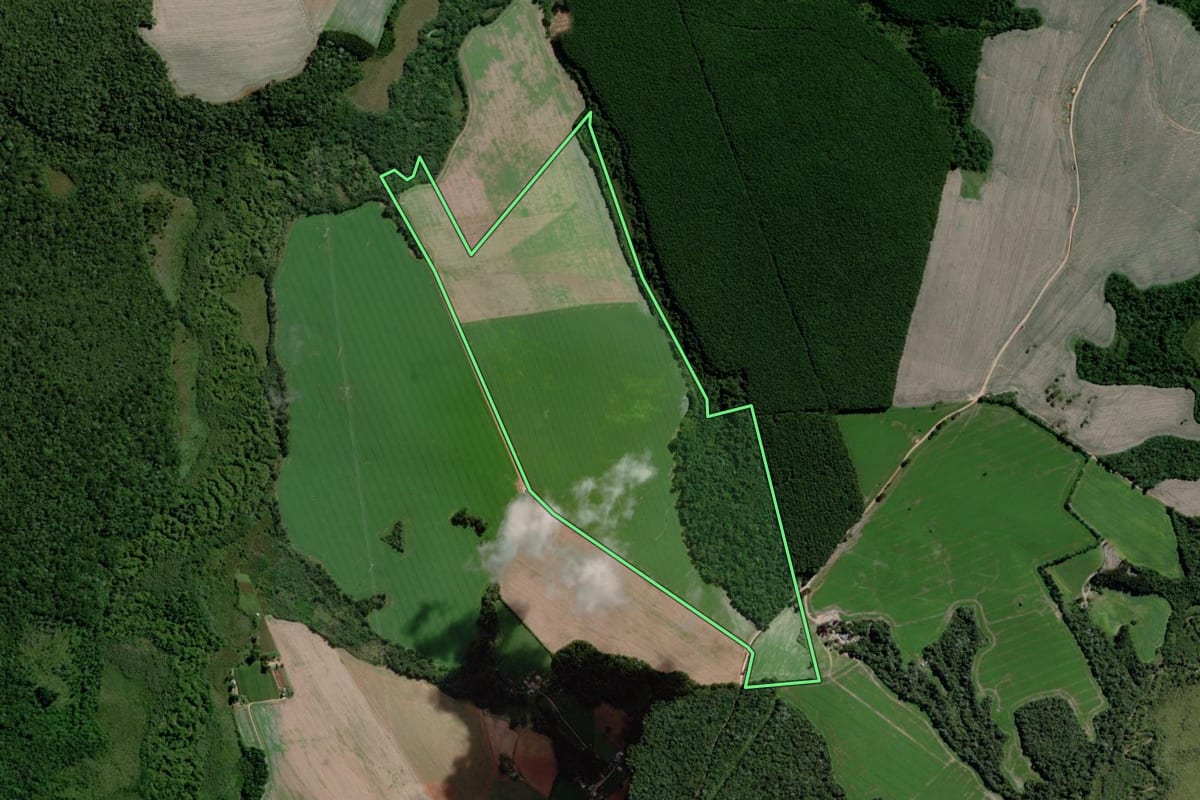 Imagem de satélite do imóvel rural em Palmeira (PR), com o contorno declarado no CAR desenhado por cima.