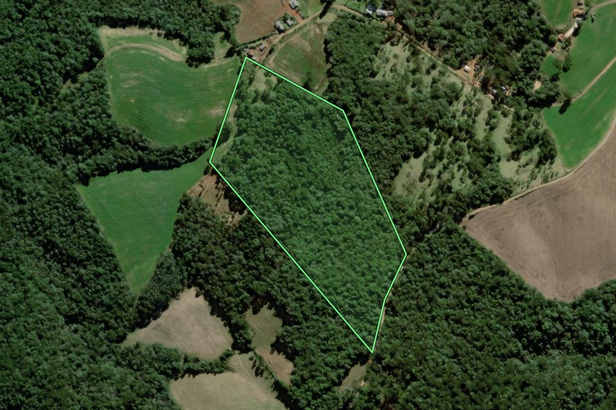 Imagem de satélite do imóvel rural em Palmeira (PR), com o contorno declarado no CAR desenhado por cima.