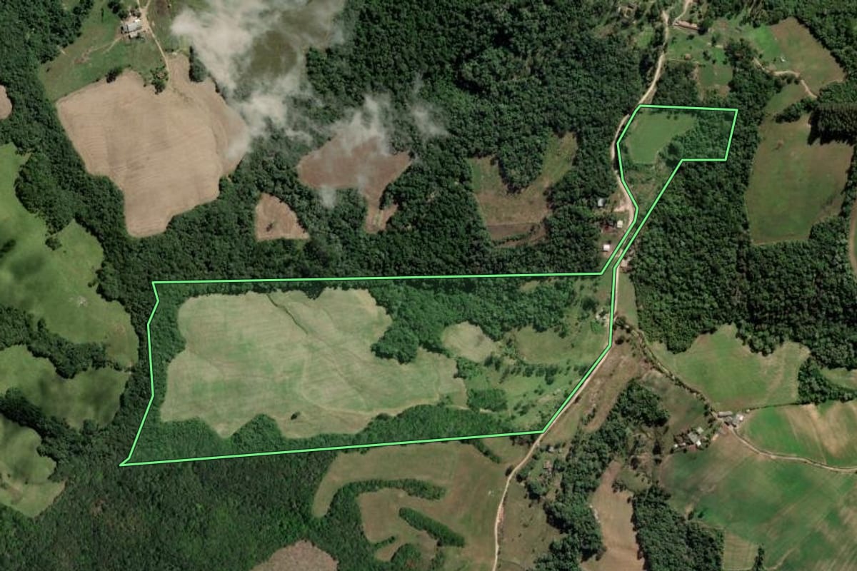 Imagem de satélite do imóvel rural em Palmeira (PR), com o contorno declarado no CAR desenhado por cima.