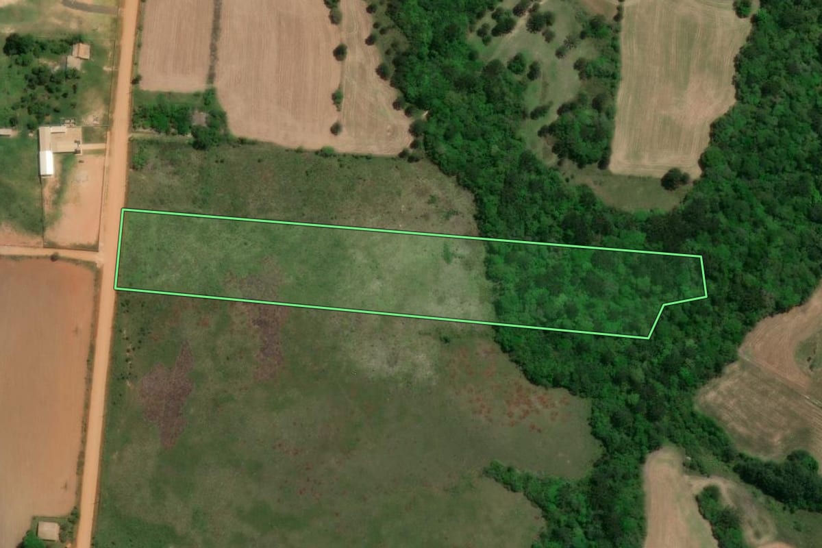 Imagem de satélite do imóvel rural em Palmeira (PR), com o contorno declarado no CAR desenhado por cima.