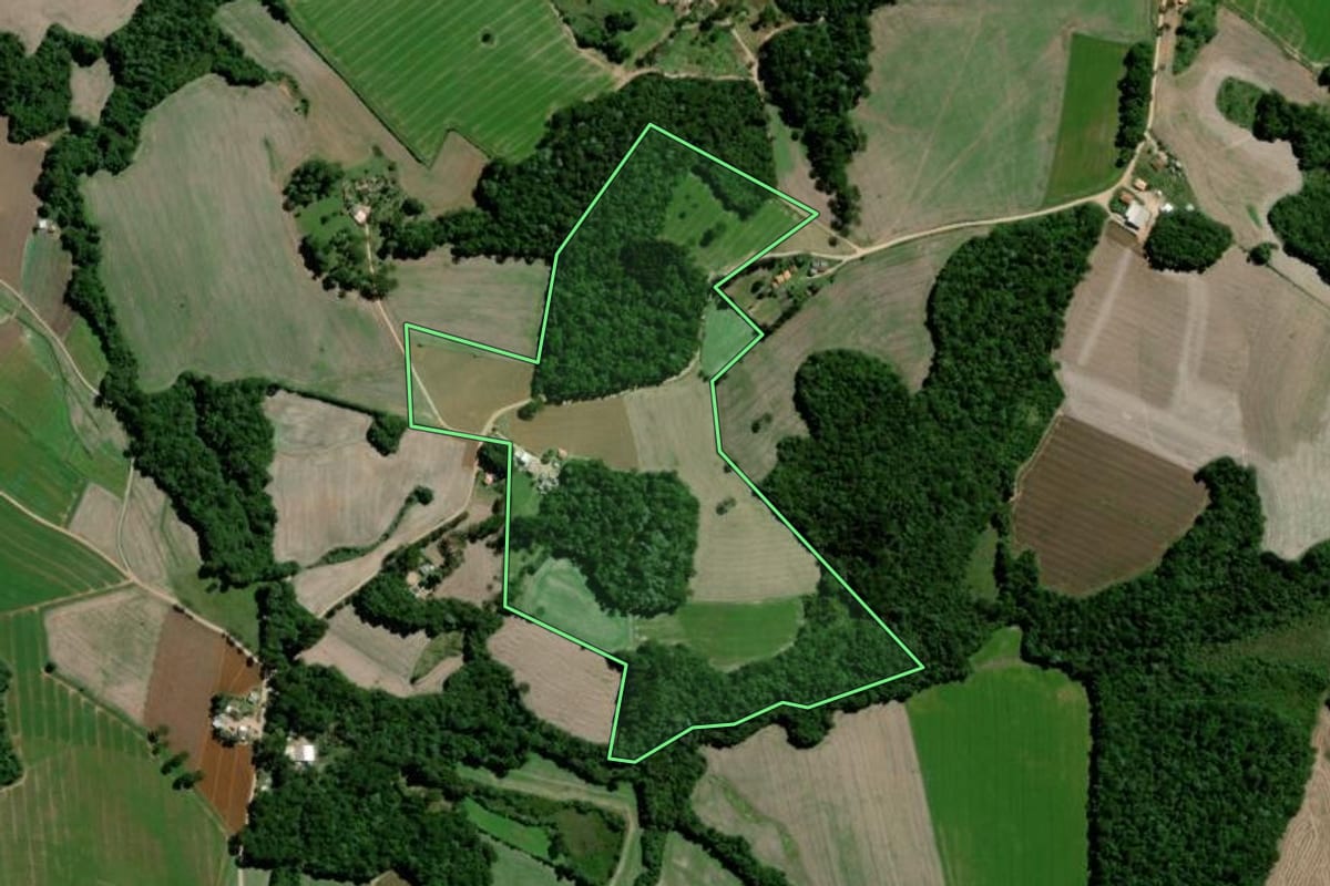Imagem de satélite do imóvel rural em Palmeira (PR), com o contorno declarado no CAR desenhado por cima.