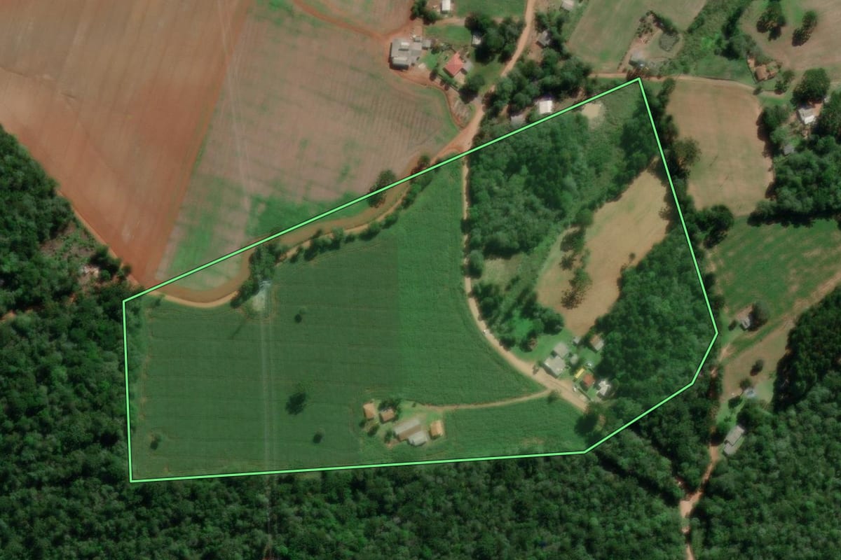 Imagem de satélite do imóvel rural em Palmeira (PR), com o contorno declarado no CAR desenhado por cima.