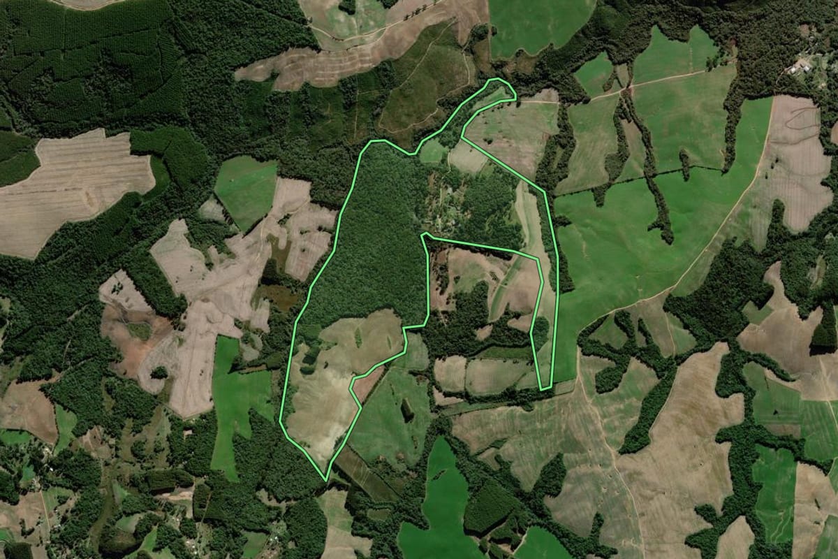 Imagem de satélite do imóvel rural em Palmeira (PR), com o contorno declarado no CAR desenhado por cima.