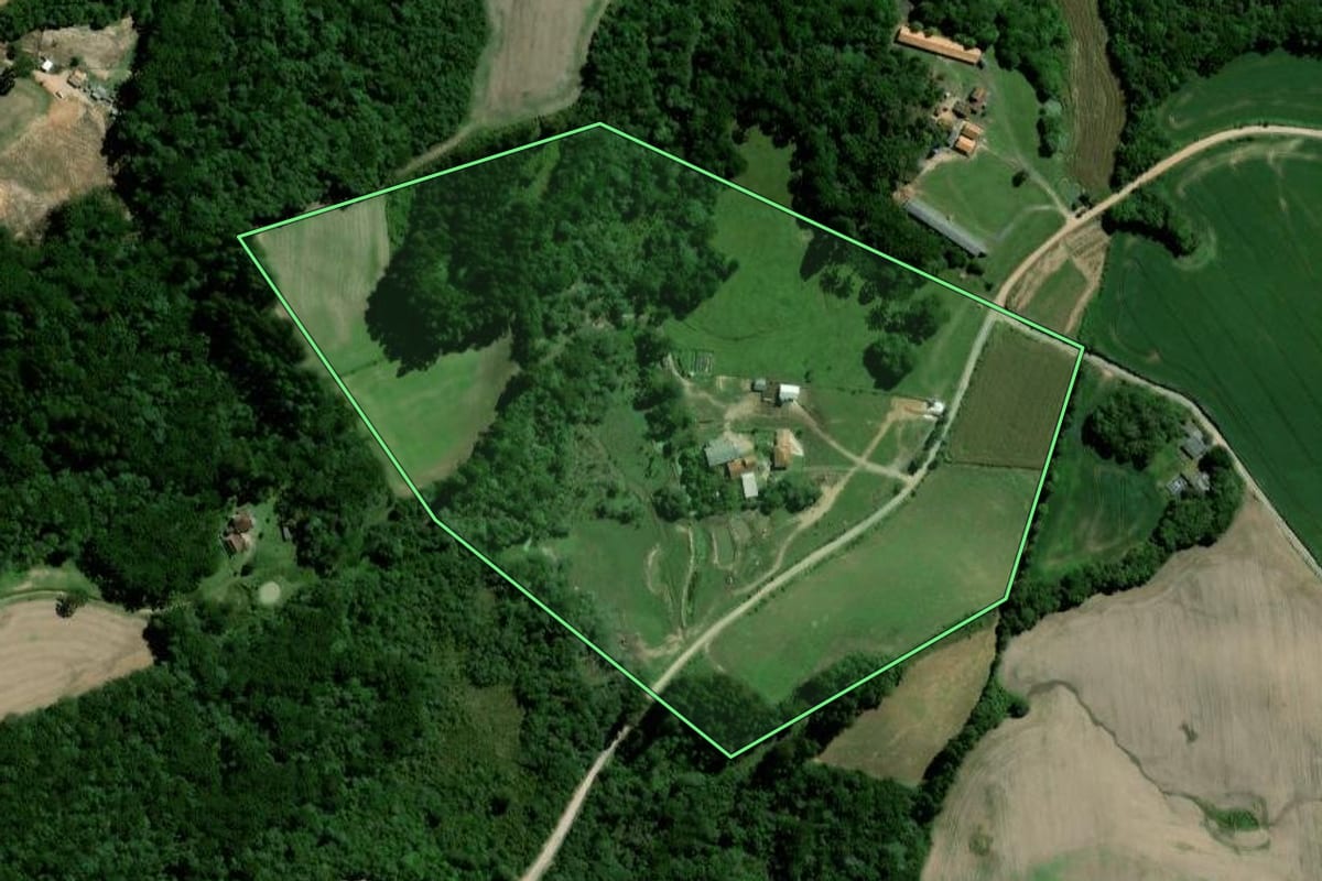 Imagem de satélite do imóvel rural em Palmeira (PR), com o contorno declarado no CAR desenhado por cima.